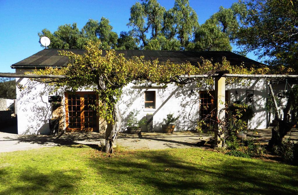 Witkrans Guest Farm Hotel Middelburg  Kültér fotó